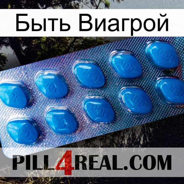 Быть Виагрой viagra1.jpg